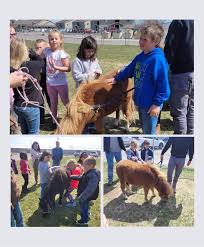 Blackfoot Charter School