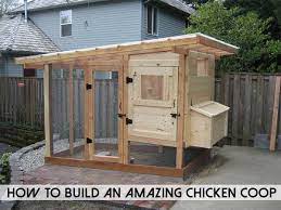 How To Build A Chicken Coop Shtfpreparedness Building A Chicken Coop Easy Chicken Coop Backyard Chicken Coops