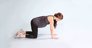 Learn how to do the cat cow progression pose when using yoga poses for lower back pain relief in this free exercise video from a hatha yoga instructor. How To Do Cat Cow Pose And Stretch The Muscles In Your Back