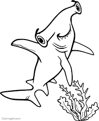 Coloring page with educational implication is a real treasure for parents: Hammerhead Shark And Seaweed Coloring Page Coloringall