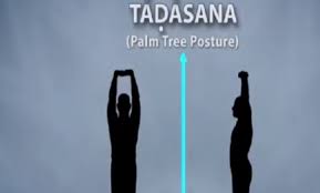 Build Up To Yoga Day Prime Minister Narendra Modi Posts Tadasana Video Health News India Tv