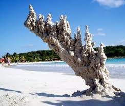When Lightning Strikes Sand Nature Natural Phenomena Amazing Nature