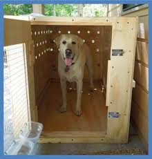Travel crates for other exotic pets. Pet Travel Crates Petrelocation