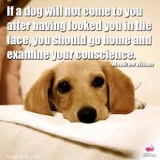 Animal Quotes We Love on Pinterest | Inspirational Quotes About ... via Relatably.com