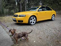 Image result for Imola Yellow 2004 S4