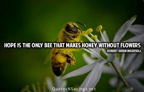 It is no wonder that many great men and women have been inspired to. Bees And Flowers Quotes Quotesgram
