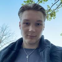 100+ "Silvan" profiles