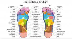Vita Flex Foot Chart Oil Drops For Wellness