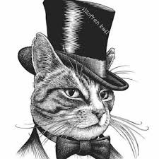 Sizofren Kedi On Twitter Kendini Begenmis Havali Insanlardan Dahasikicibirseyyok Diyenler Koc Basak Kova Aslan