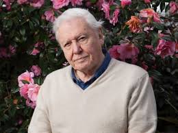 From wikipedia, the free encyclopedia. 10 Facts You Probably Didn T Know About Sir David Attenborough Discover Wildlife