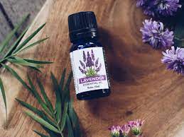 Lavender oil may trigger hair regrowth for hair loss related to alopecia areata but not necessarily any other types of hair loss conditions. How To Use Lavender Essential Oil For Hair Scalp