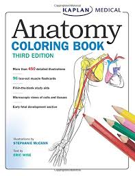 Download Download Anatomy Coloring Book Pdf Jepthasophos