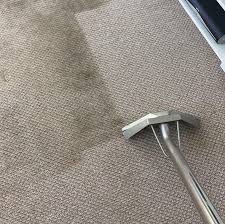 Carpet Cleaning Newington SE17