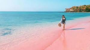 Maybe you would like to learn more about one of these? Pantai Ujung Genteng Sukabumi Fasilitas Dan Harga Tiket