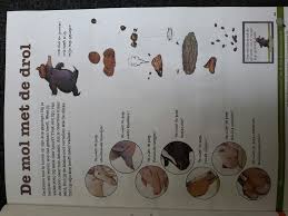Pin Van Daans Op Thema Wie Heeft Er Op Mijn Kop Gepoept Thema Mol Prentenboeken