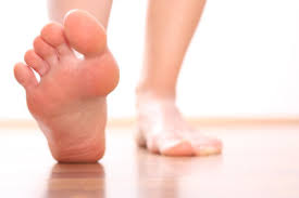 Dorsal view of foot illustrating first layer of muscles and tendons. 10 Facts About Your Feet Kids Discover