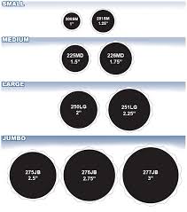 Scallop Sizes Chart Related Keywords Suggestions Scallop