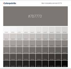 The rgb values and percentages for warm gray. Hex Color Code 7d7773 Pantone Warm Gray 11 U Color Information Hsl Rgb Pantone