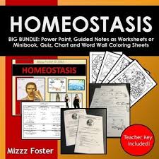 Homeostasis Big Bundle Ppt Worksheets Or Minibook Word Wall Quiz Chart
