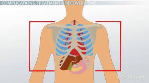 What organ is just below the left rib cage.had a sharp pain that woke me up during the night. Chest Contusion Complications Treatment Recovery Time Science Class 2021 Video Study Com