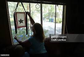 1,001 Doucette Stock Photos, High-Res Pictures, and Images