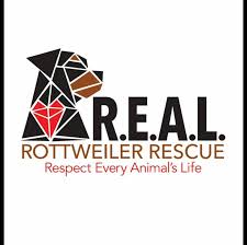 Remember that ongoing booster vaccinations will be needed to there are plenty of rescue centres across the country where you may find a rottweiler. R E A L Rottweiler Rescue Home Facebook