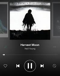 Wedding Song Wedding Songs Songs Neil Young