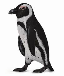 We did not find results for: Collecta South African Penguin 88710 Birds