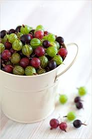Gooseberries Grandpa Used To Keep These Berries In His Bottom Land And As A Child My Brothers Siste Fruits Et Legumes Photos De Fruits Et Legumes Nourriture