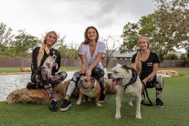 Hours may change under current circumstances Big Dog Ranch Rescue