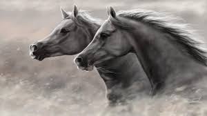 Mustang Horse Wallpapers Wallpaper Cave ✓ free for commercial use ✓ high quality images. mustang horse wallpapers wallpaper cave