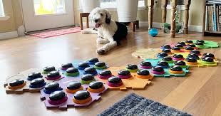 Owning a large breed dog comes with large responsibilities, especially when it comes to choosing the best large breed dog food. How To Teach Dog To Talk With Buttons According To One Owner