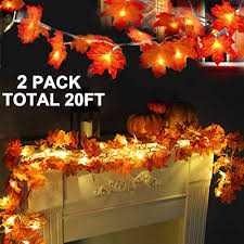Best Indoor String Lights Buying Guide Gistgear