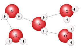 A polar molecule is a water solvent. The Strong Polar Bond Between Water Molecules Creates Water Cohesion