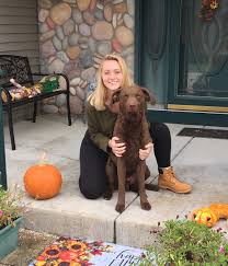 .on all pets veterinary clinic in middleton, undefined discover more veterinary services for animal specialties companies in middleton on manta.com. Contact Our Middleton Wi Veterinarians At All Pets Veterinary Clinic