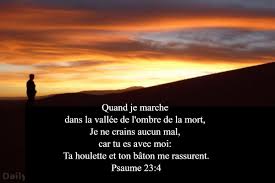 Quand Je Marche Dans La Vallee De L Ombre De La Mort Je Ne Crains Aucun Mal Car Tu Es Avec Moi Ta Houlette Et Ton Baton Me Rassuren Psaumes Psaume 23