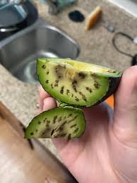Image result for Dark Avocado 1977 Fedders