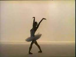 Marie Plissetskaia Le Dernier Voyage D Un Cygne Les Corps Emouvants Overblog Com Marie Le Corps Fusiller