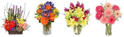 They understood my problem and quickly came up with a solution for me. The 8 Best Options For Flower Delivery In Marietta Georgia 2021