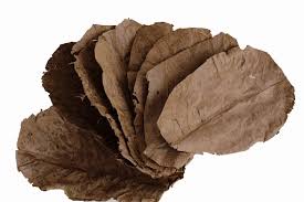 Images?q=tbn:ANd9GcTvIZi511w2y6C2b0s4TUqDNMUuOsF1EJUTpw&s