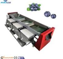 Buy In Bulk Blueberry Fruit Packing Machine Handles ...