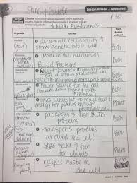 Select sample cells from a plant or. Unit 5 Classification And Cells 6th Grade Science