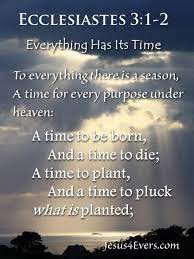 Pin On Quotes Thoughts And Inspirations
