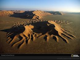 Camels in the western oman's desert. National Geographic Landscape Desert Sand Dune Middle East Nature Hd Wallpaper Wallpaperbetter