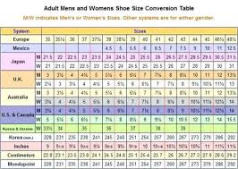 74 Veritable Womens Jeans Size Comparison