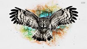 Owl Backgrounds Wallpaper Cave Feel free to send us your own wallpaper and.