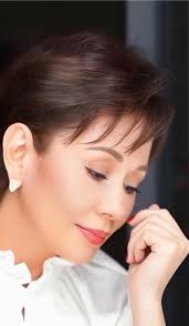 Vilma Santos-Recto's Film Career and Achievements