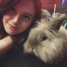 Rabbit companion: male or female?