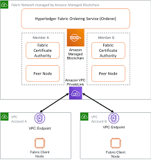 In The Previous Post In This Series You Learned How To Build A Hyperledger Fabric Network Using Amazon Managed Blockch Blockchain Certificate Authority Fabric