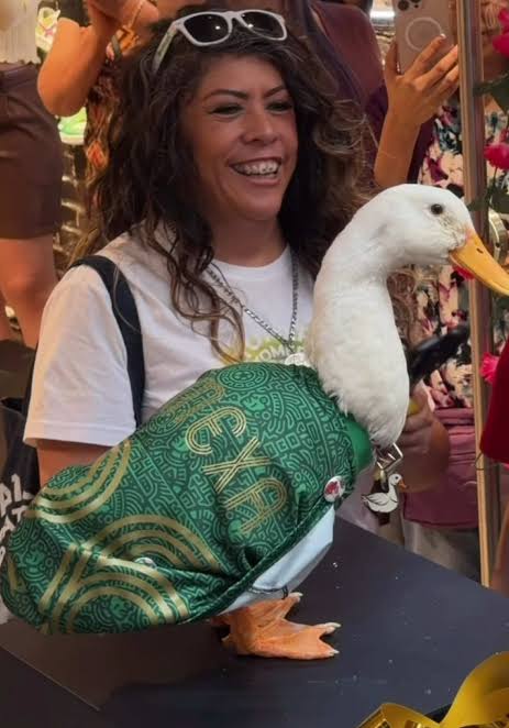 El Pato Merlín ya tiene su línea de tenis y hoy vivimos su lanzamiento… 200 piezas, solo en Panam de Parque Toreo y el 10% de ganancias son para el pato mas viral del mundial 🦆🤑 #PatoMerlin #Panam